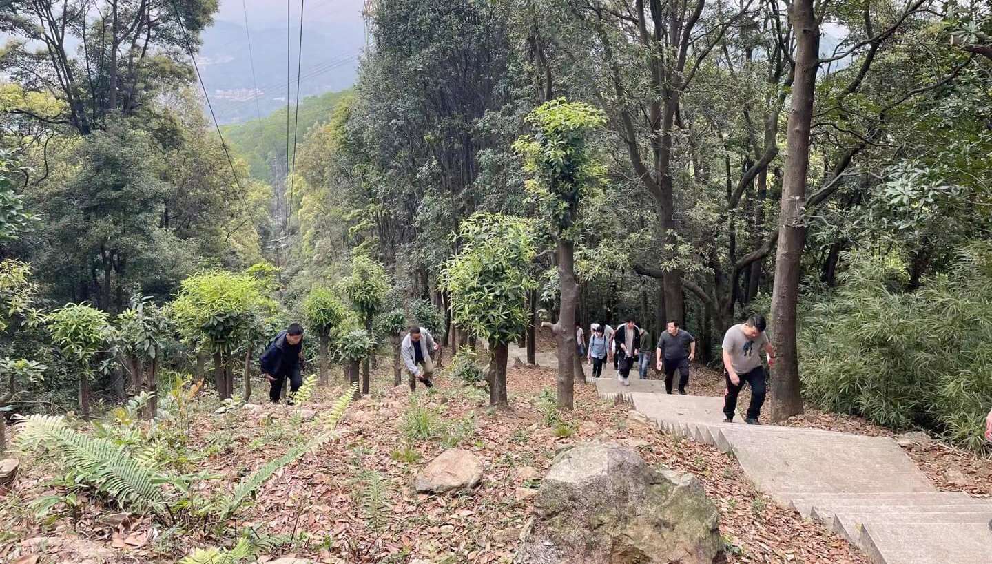 嘉东爬山活动