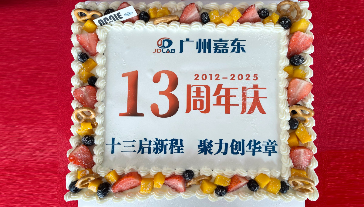 嘉东成立13周年