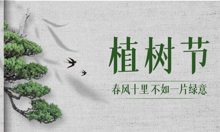 【植树节】种下春的希望，静待万物盎然